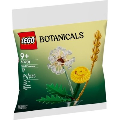 LEGO ICONS BONATICAL ASST...