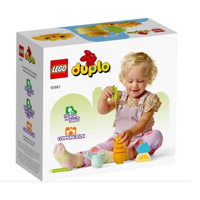 DUPLO MES 1ERS PAS LA CAROTTE QUI POUSSE 10981