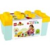 DUPLO MES 1ERS PAS LE JARDIN BIO 10984