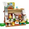 LEGO CLASSIC MAIRIE EN VISITE 77049 77049